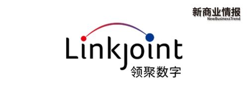 自主投放 品牌塑造, 領聚數字 為工廠出海打包解決方案 創公司