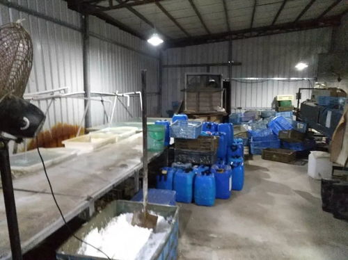 龍溪夜間突查處無牌證金屬制品廠，交警依法暫扣涉案車輛